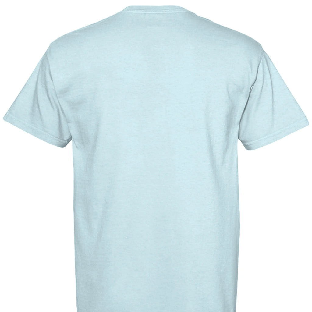 CHAMBRAY - C1717 - BACK