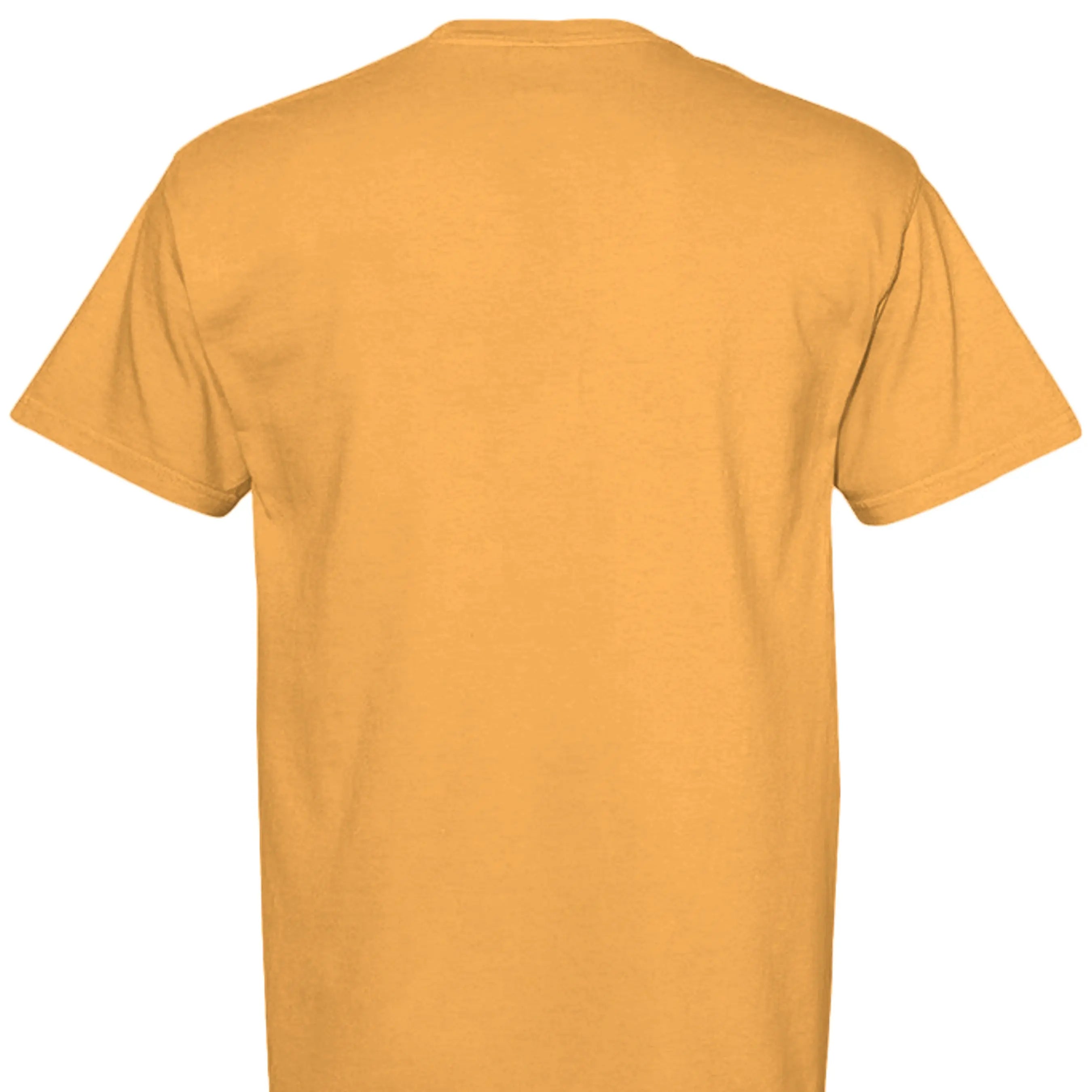 Bright Orange - C1717 - BACK