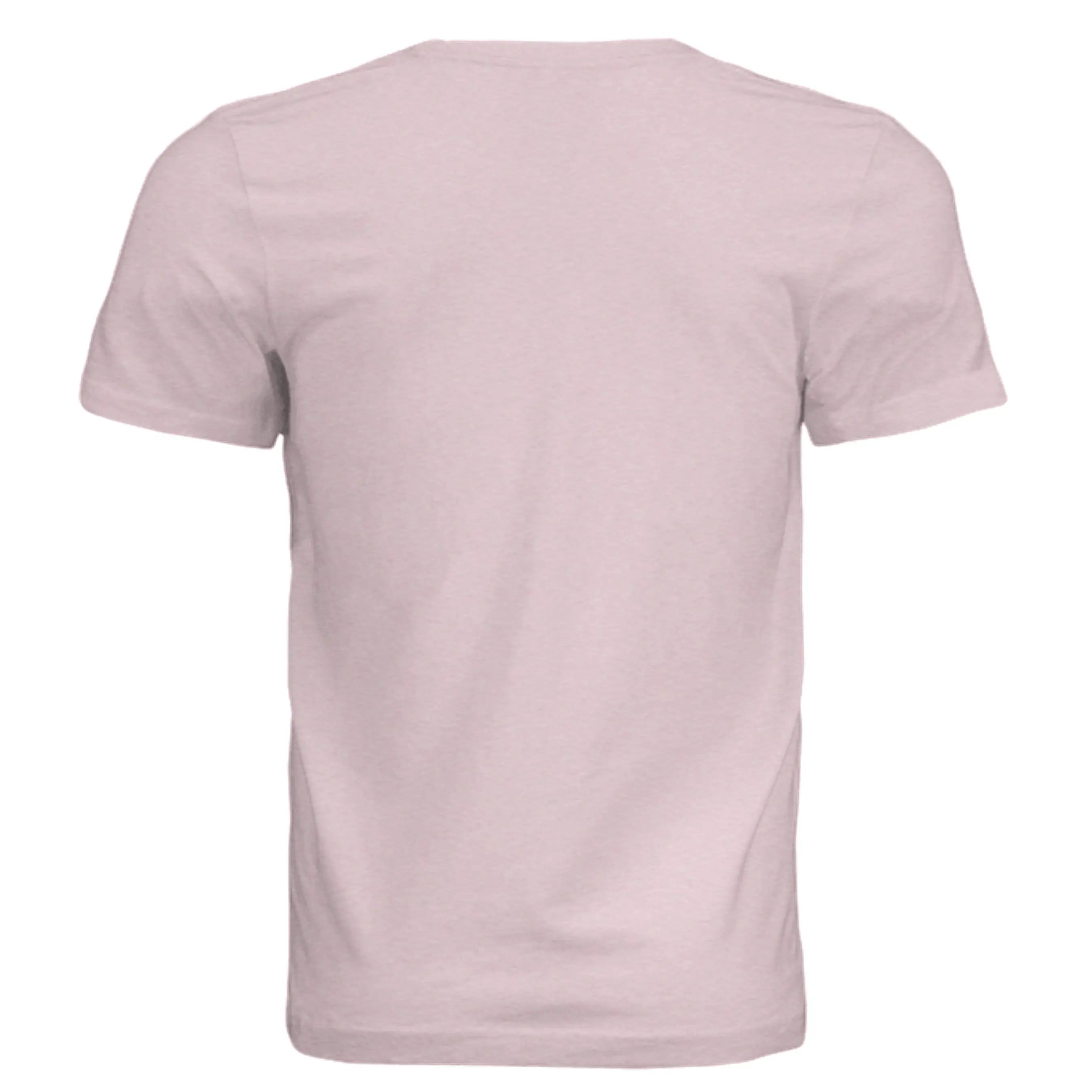 Pink Triblend - 3413C - BACK
